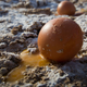A photo of a cracked egg on the floor.